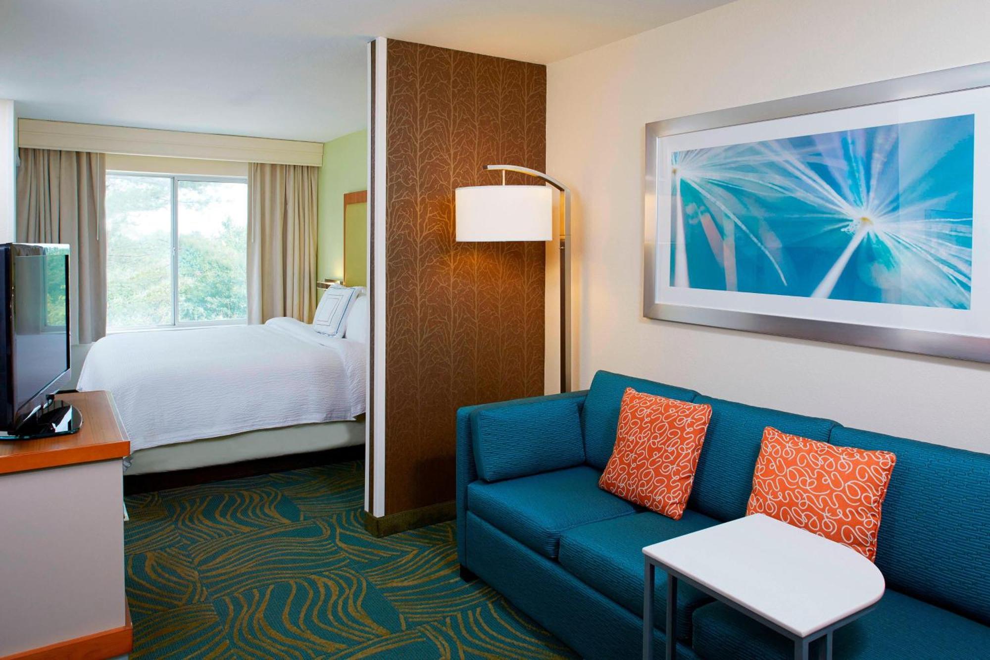 Springhill Suites By Marriott Atlanta Six Flags Lithia Springs Exterior foto